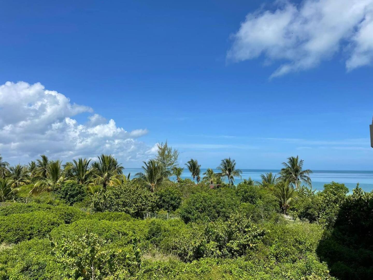 Hermoso Departamento Con Vista Al Mar Apartamento Isla Holbox