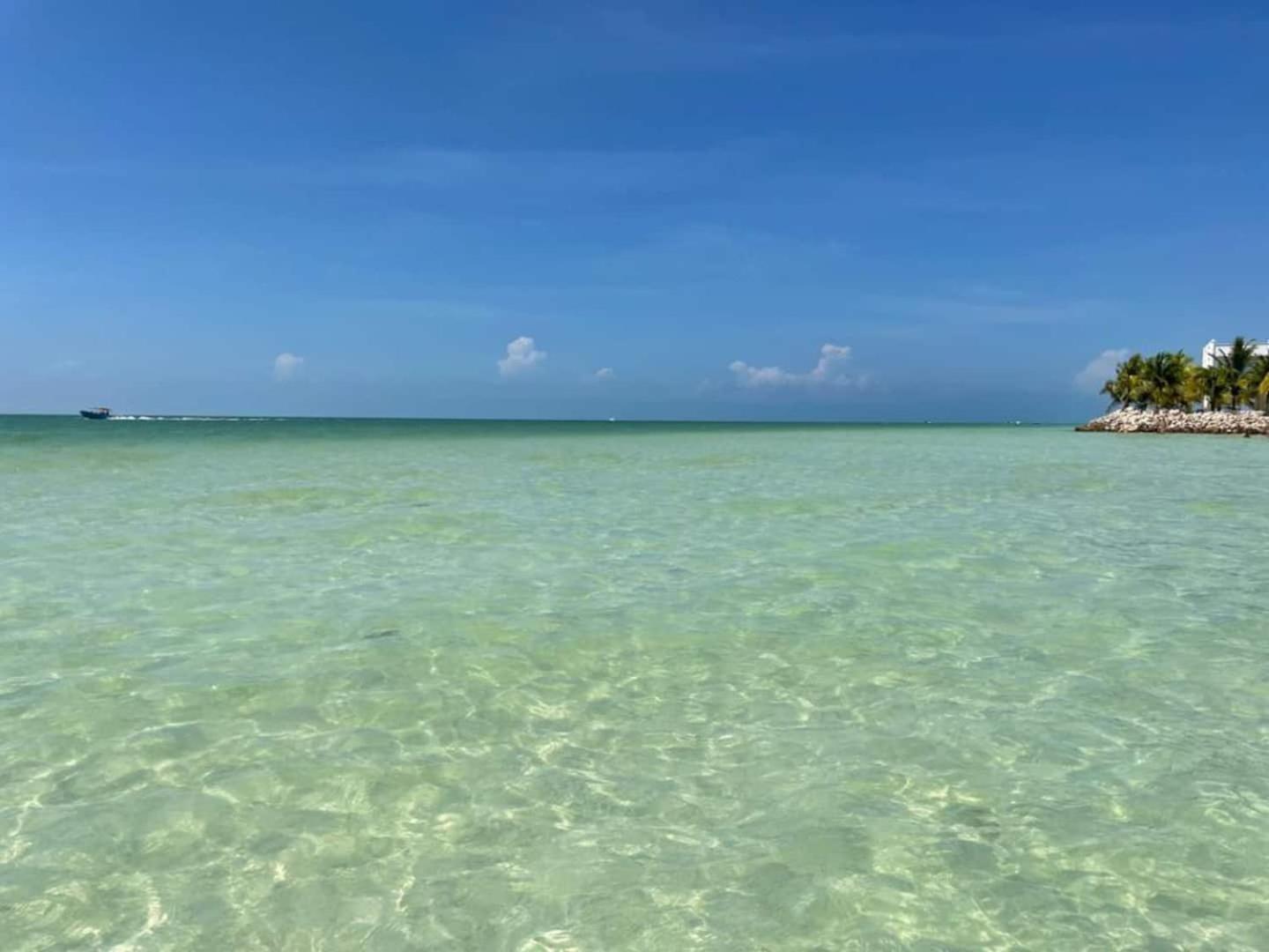Hermoso Departamento Con Vista Al Mar Apartamento *